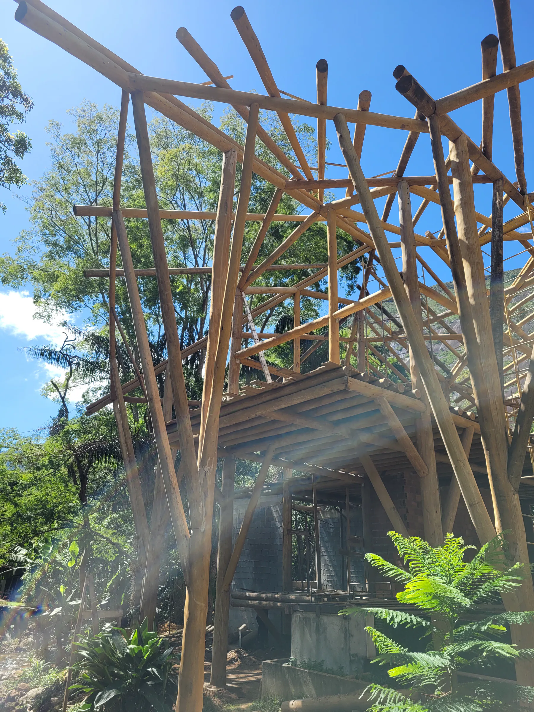 Casa Paraqueira Araras, execução Romilson, foto 15