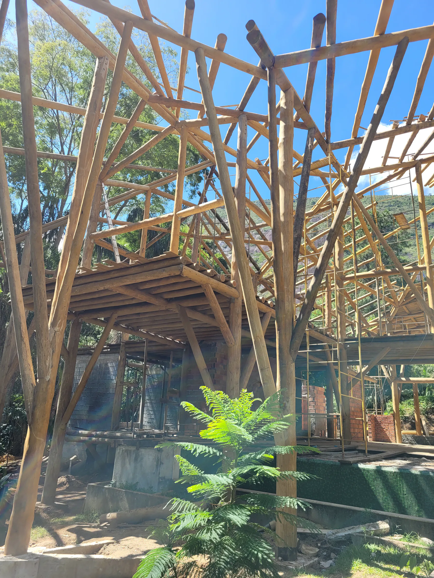 Casa Paraqueira Araras, execução Romilson, foto 16