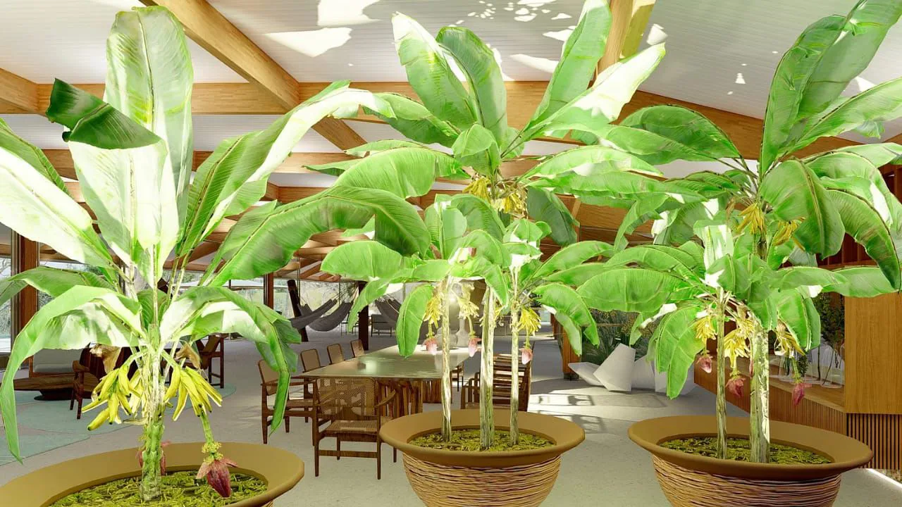 Jardim interno ao lado da mesa de jantar da Casa Vitor