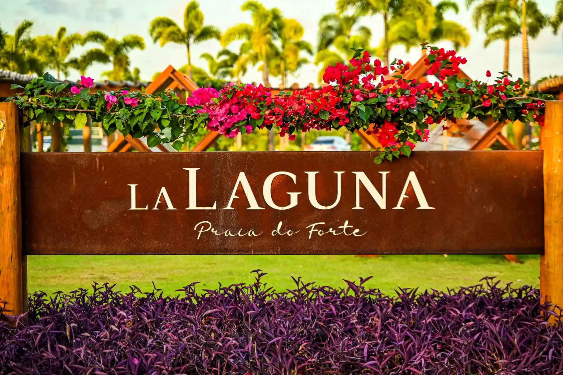 La Laguna, galeria oficial, foto 14